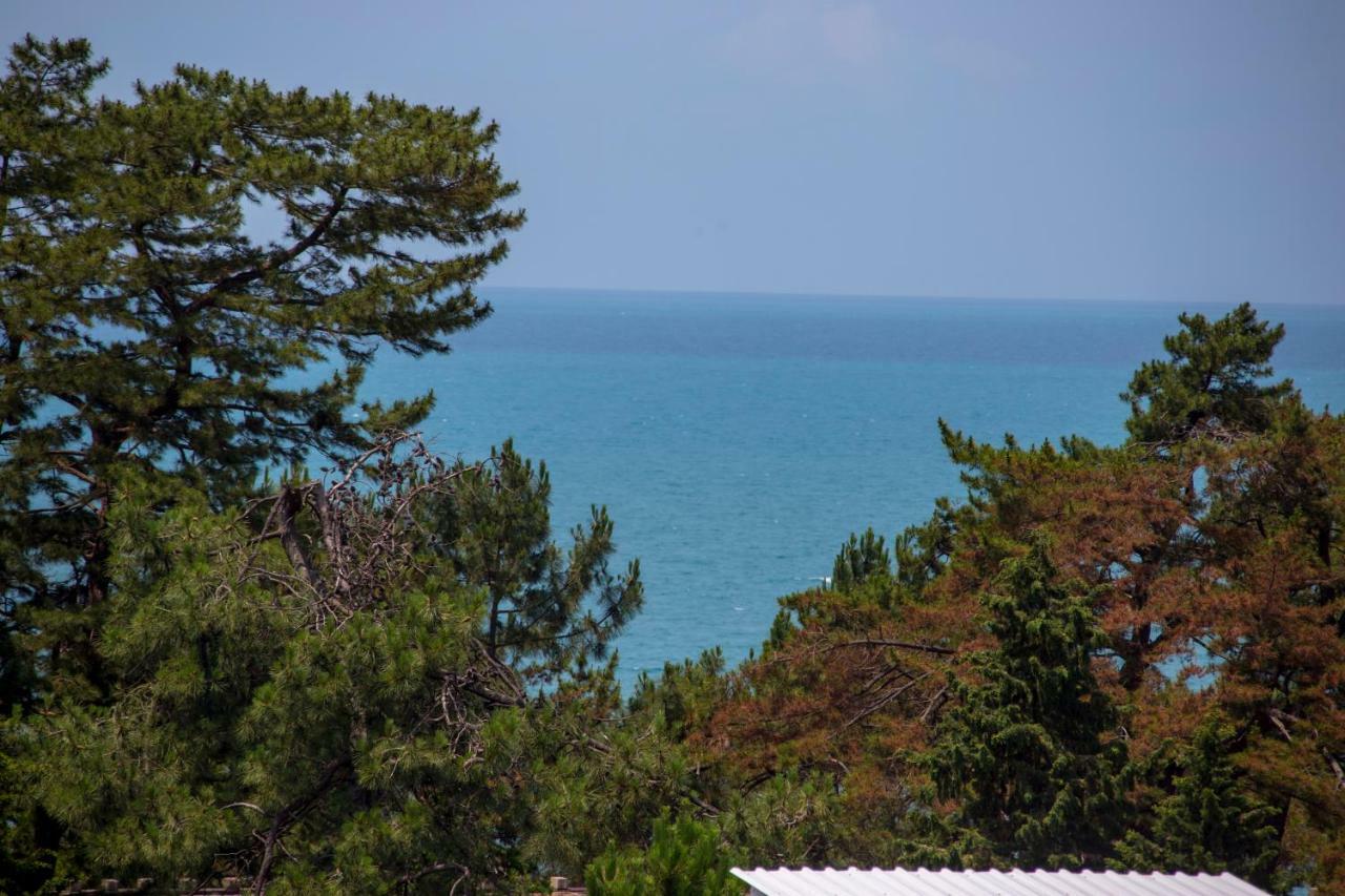 Chveni Ezo Boutique Hotel Kobuleti Dış mekan fotoğraf
